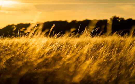 1486637 (a): :2560x1604